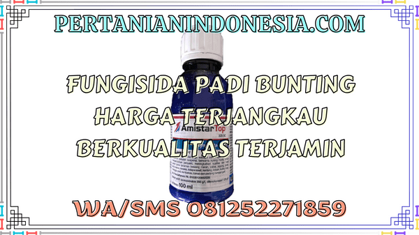 Fungisida Padi Bunting  Harga Terjangkau Berkualitas Terjamin